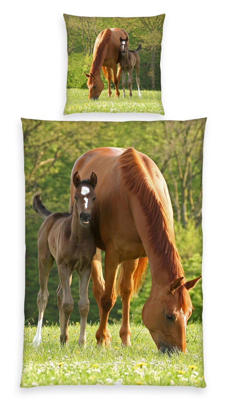 Renforcé-Bettwäsche mit einem Pferd und Fohlen auf einer Wiese, aus der Perspektive von vorne.