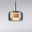Moderne Pendelleuchte RIKA von Paul Neuhaus mit elegantem, rauchgrauem Glasschirm, seitliche Perspektive