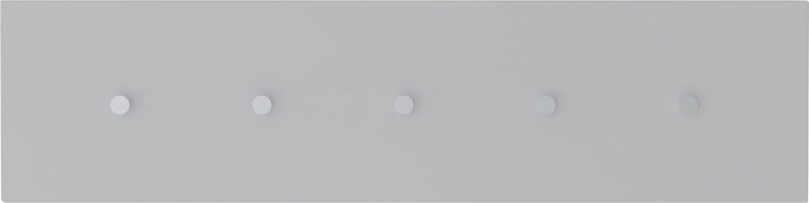 Hakenleiste mit fünf Haken, frontal betrachtet