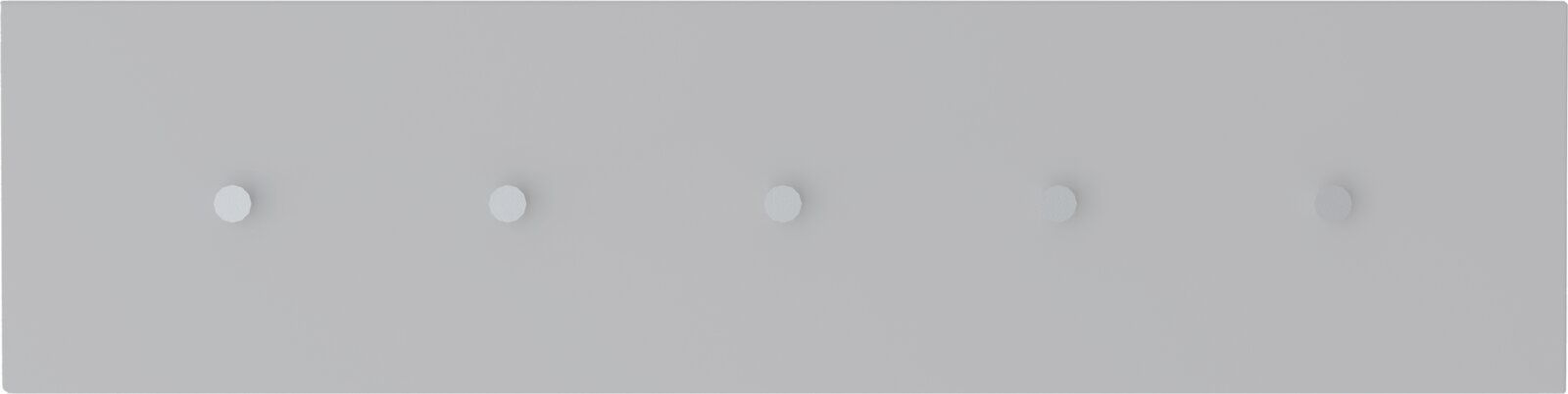 Hakenleiste mit fünf Haken, frontal betrachtet