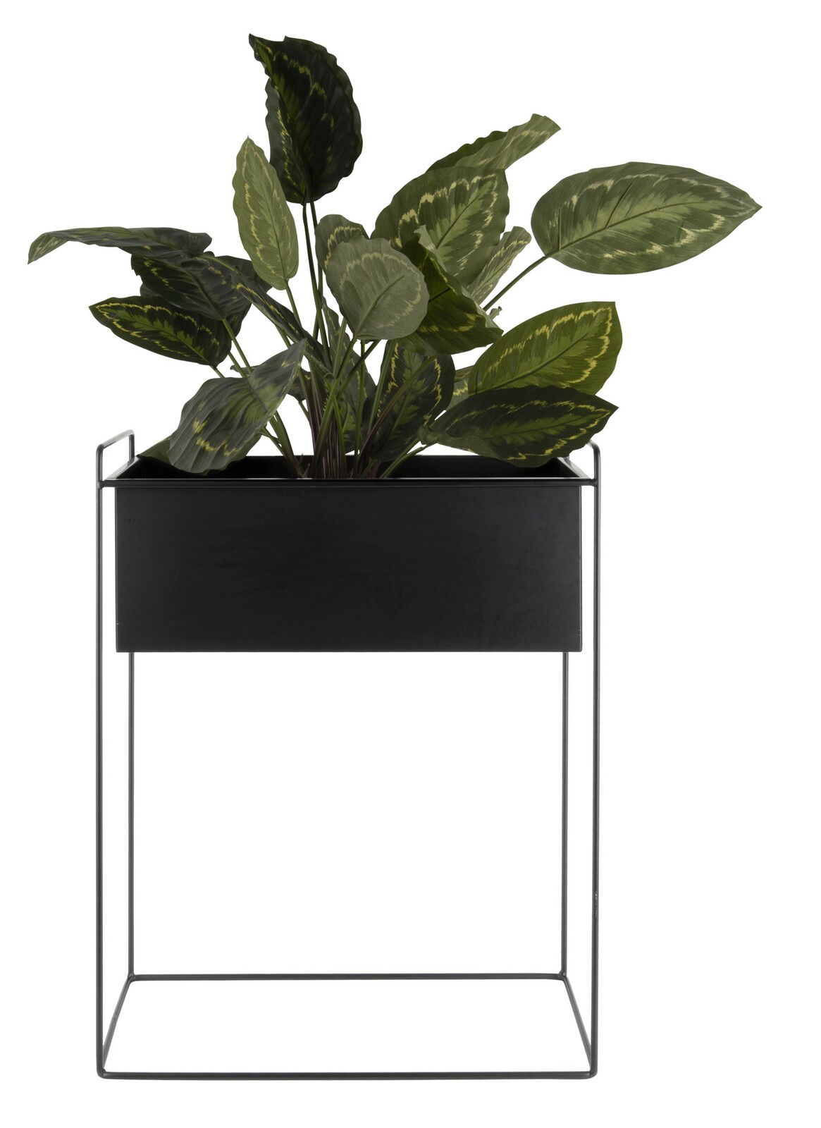 Schwarzer Pflanzkübel auf einem Metallgestell mit grünen Blättern, Frontalansicht
