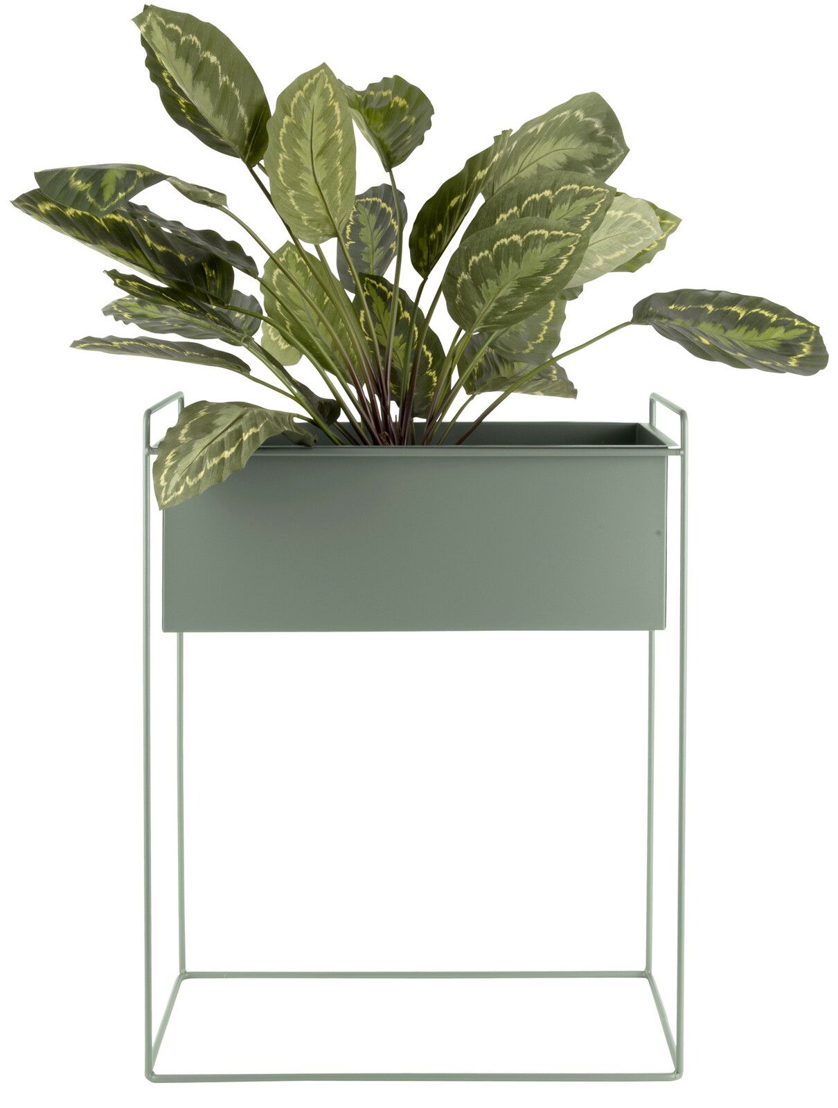 Pflanzgefäß-Set Essence 2-tlg in modernem Design, rechteckiger Topf auf einem filigranen Metallgestell, frontal fotografiert mit grünen Pflanzen.