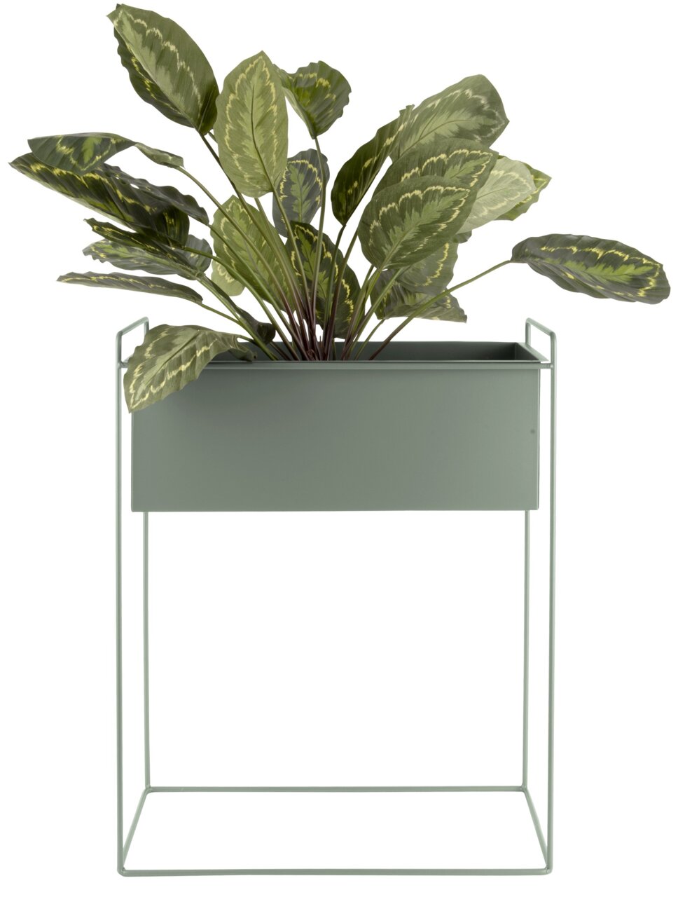 Pflanzgefäß-Set Essence 2-tlg in modernem Design, rechteckiger Topf auf einem filigranen Metallgestell, frontal fotografiert mit grünen Pflanzen.