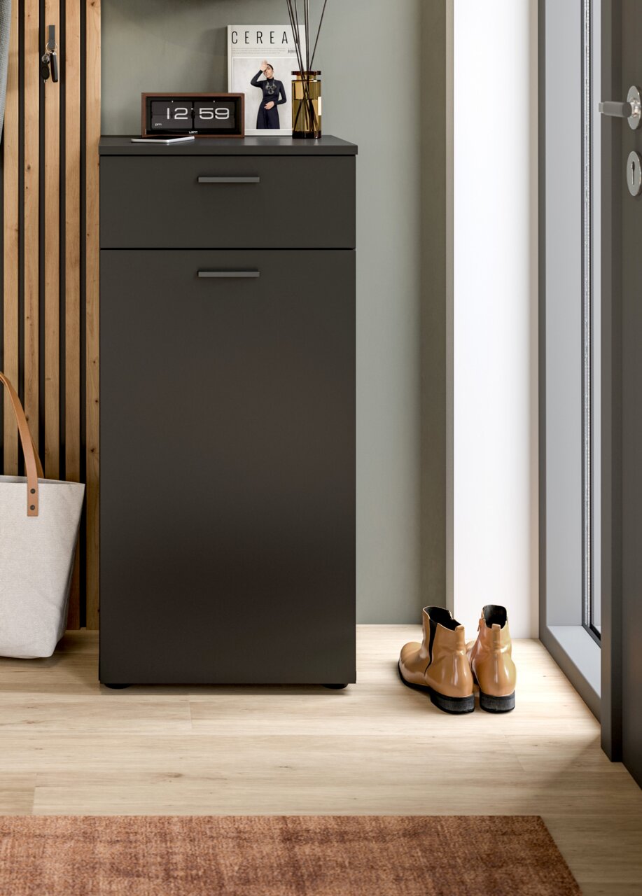 Moderner Schuhschrank in dunklem Design, frontal fotografiert, mit dekorativen Elementen auf der Oberseite.