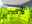Moderne Küche in Weiß mit grüner Akzentwand, schwarzer Arbeitsplatte und wohnlicher Atmosphäre mit Pflanzen und Dekoration.