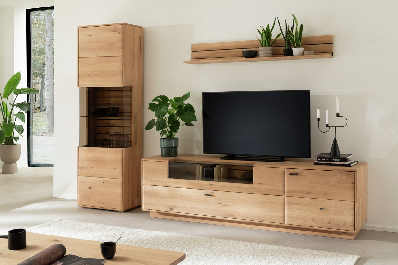 Moderne Wohnzimmer-Wandkombination aus Holz mit TV-Schrank, Regal und Vitrine, frontal fotografiert.