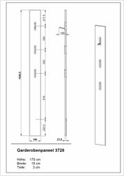 Garderobenpaneel in Seitenansicht und Vorderansicht mit Maßen: Höhe 170 cm, Breite 15 cm, Tiefe 3 cm.