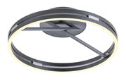 Moderne Deckenleuchte PURE Loop von Paul Neuhaus in schwarzem Design, seitliche Perspektive