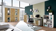 Moderne Büromöbel in einem hellen Raum mit großen Fenstern, bestehend aus einem Schreibtisch, Rollcontainer, Regalen und Aktenschränken in Holzoptik. Perspektive: Frontalansicht.