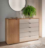 Kombikommode aus Holz mit fünf Schubladen und einer Tür, dekoriert mit Pflanzen und Vasen, aus der Frontalperspektive.