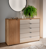 Kombikommode aus Holz mit fünf Schubladen und einer Tür, dekoriert mit Pflanzen und Vasen, aus der Frontalperspektive.