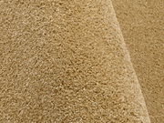 Nahaufnahme eines beigen Uni-Teppichs mit weicher Textur, seitliche Perspektive