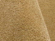 Nahaufnahme eines beigen Uni-Teppichs mit weicher Textur, seitliche Perspektive