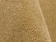 Nahaufnahme eines beigen Uni-Teppichs mit weicher Textur, seitliche Perspektive