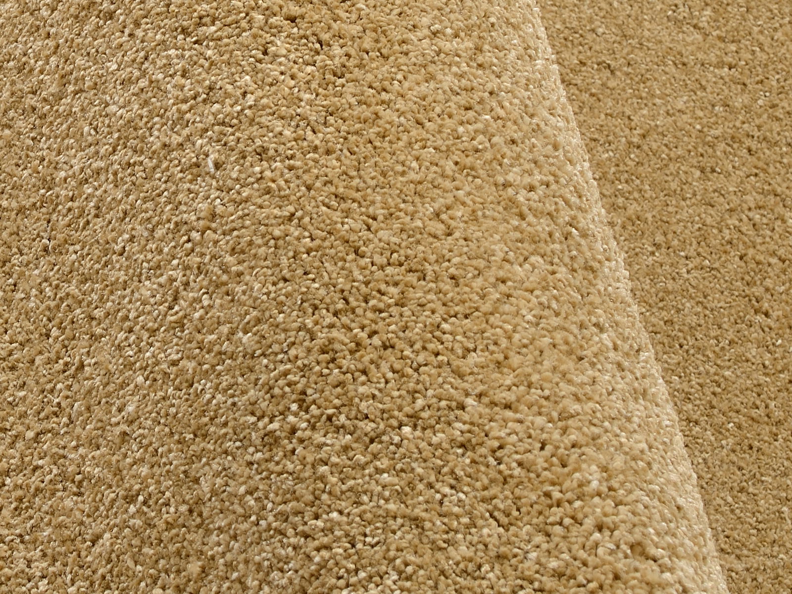 Nahaufnahme eines beigen Uni-Teppichs mit weicher Textur, seitliche Perspektive
