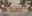Gartenlounge mit 2 Sesseln, Bak und Tisch  in hellem Holz