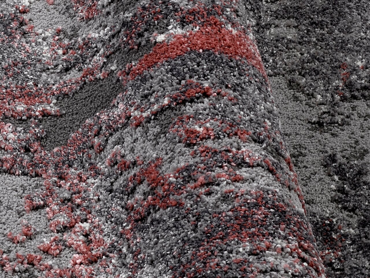 Nahaufnahme eines Designer Teppichs mit grauen und roten Mustern, perspektivisch von der Seite aufgenommen.