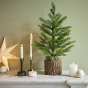 Kleiner grüner Weihnachtsbaum im rustikalen Topf, frontal in festlicher Tischdekoration mit leuchtenden Kerzen, Papierstern und weißen Christbaumkugeln präsentiert