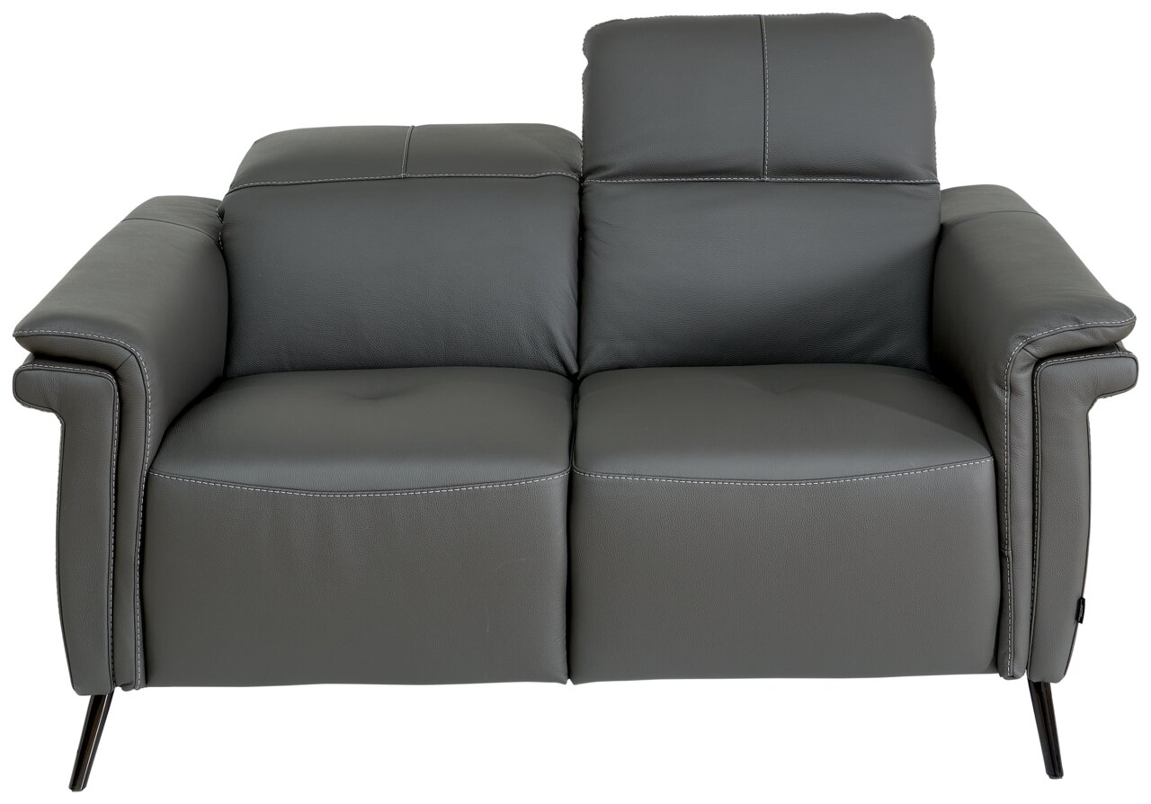 Graues 2-Sitzer-Sofa aus Leder, Vorderansicht