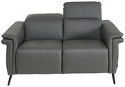 Graues 2-Sitzer-Sofa aus Leder, Vorderansicht