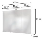 Moderner Spiegelschrank mit drei Türen, Gesamtbreite 100 cm, Höhe 64 cm, Tiefe 20 cm, mit integrierter Beleuchtung, Frontalansicht.