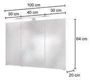Moderner Spiegelschrank mit drei Türen, Gesamtbreite 100 cm, Höhe 64 cm, Tiefe 20 cm, mit integrierter Beleuchtung, Frontalansicht.