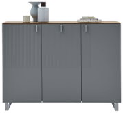 Moderne XL-schoenenkast in grijs met drie deuren, versierd met vazen en boeken, vooraanzicht
