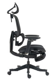 Seitliche Ansicht des schwarzen Drehstuhls Novel DOMINIC mit ergonomischer Rückenlehne und Kopfstütze.