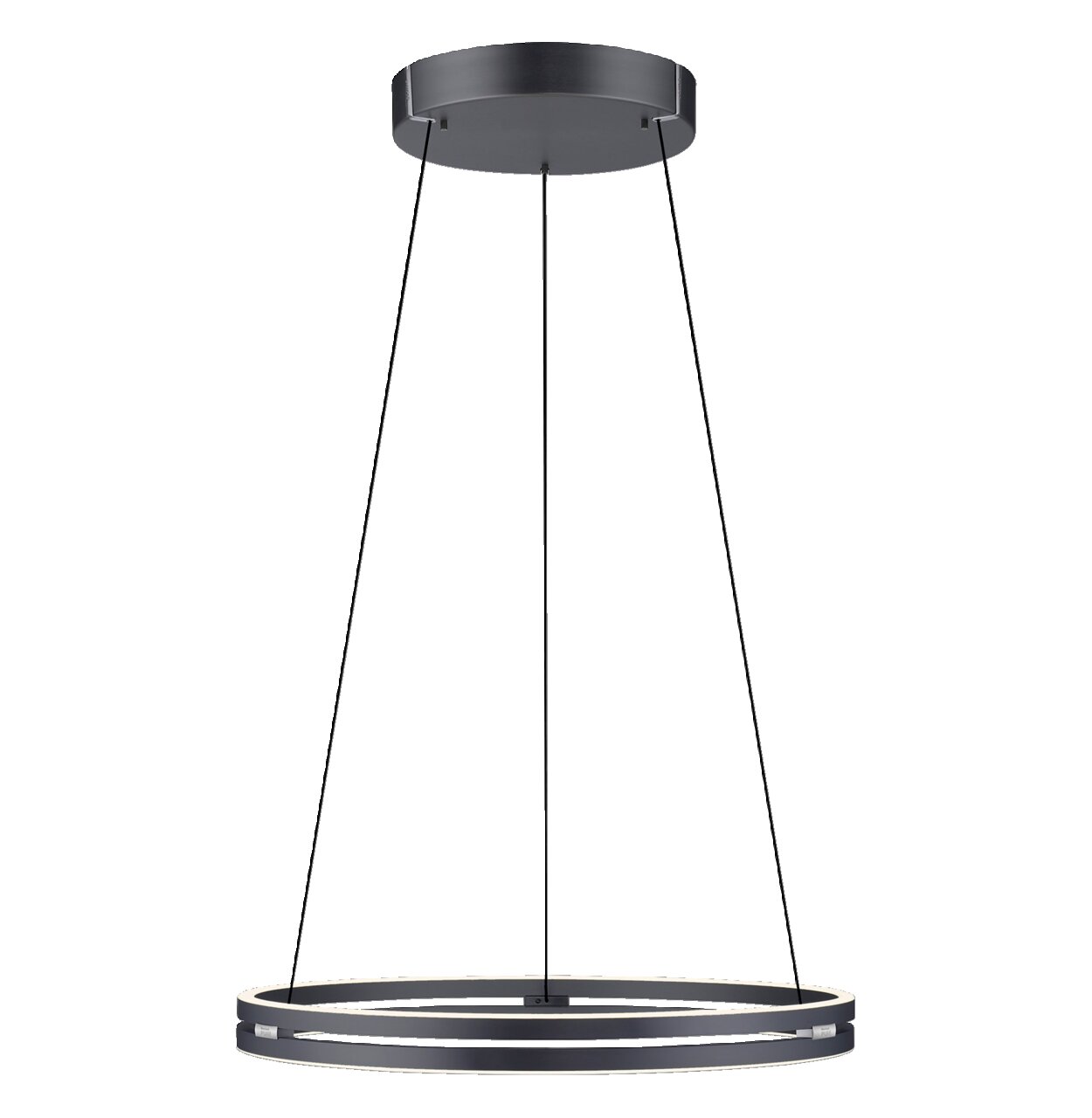 Moderne hanglamp PURE-E-LOOP van Paul Neuhaus in zwart, zijaanzicht