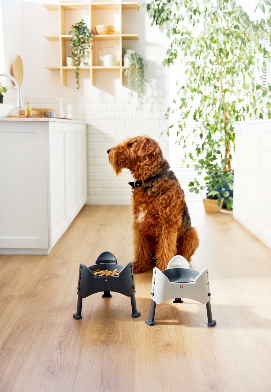 Een hond zit in een moderne keuken op de vloer naast twee verstelbare voerbakken. De bakken zijn zwart en wit. Perspectief: zijdelings van voren.