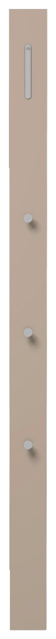 Garderobenpaneel-Leiste in brauner Farbe mit drei Haken und einer Leiste, frontal abgebildet.
