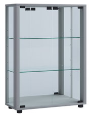 Glasvitrine mit silbernem Aluminiumrahmen, zwei Glasböden und transparenten Glastüren, gezeigt in frontaler Ansicht leicht von links.