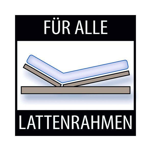 Illustration einer Wendematratze auf einem verstellbaren Lattenrahmen, geeignet für alle Lattenrahmen, seitliche Perspektive.