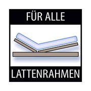 Illustration einer Wendematratze auf einem verstellbaren Lattenrahmen, geeignet für alle Lattenrahmen, seitliche Perspektive.