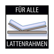 Illustration einer Wendematratze auf einem verstellbaren Lattenrahmen, geeignet für alle Lattenrahmen, seitliche Perspektive.