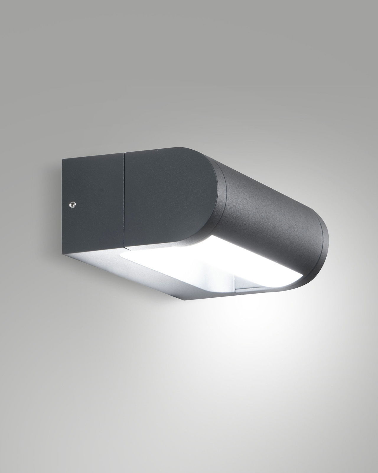 Fabas Luce LED-buitenwandlamp WILD Moderne LED-Außenwandleuchte in seitlicher Perspektive, anthrazitfarbenes Gehäuse mit nach unten gerichtetem Licht.