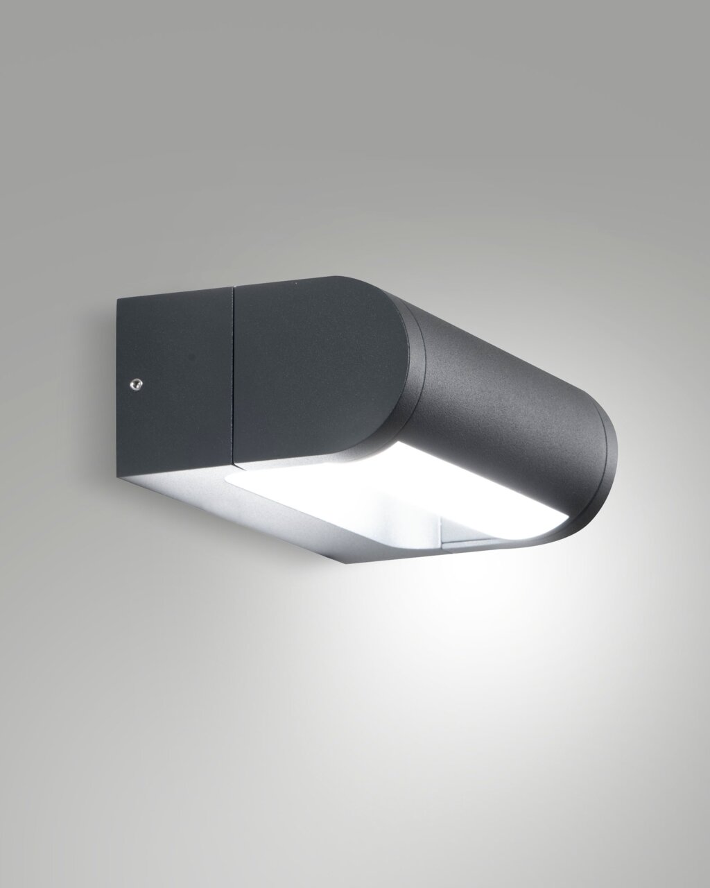 Fabas Luce LED-Außenwandleuchte WILD Moderne LED-Außenwandleuchte in seitlicher Perspektive, anthrazitfarbenes Gehäuse mit nach unten gerichtetem Licht.