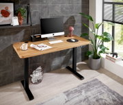 Moderner E-Schreibtisch mit Holzplatte und schwarzem Gestell, seitliche Perspektive, ausgestattet mit Computer, Lampe und Pflanzen.