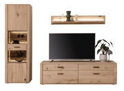 Frontale Ansicht einer modernen Wandkombination aus Holz mit einem hohen Schrank, einem TV-Board und einem Wandregal, dekoriert mit Pflanzen und Accessoires.