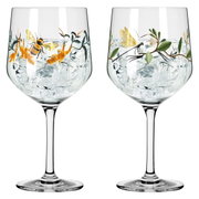Twee gin-glazen met bloemen- en insectenmotieven, gevuld met ijsblokjes, gezien vanuit het vooraanzicht.