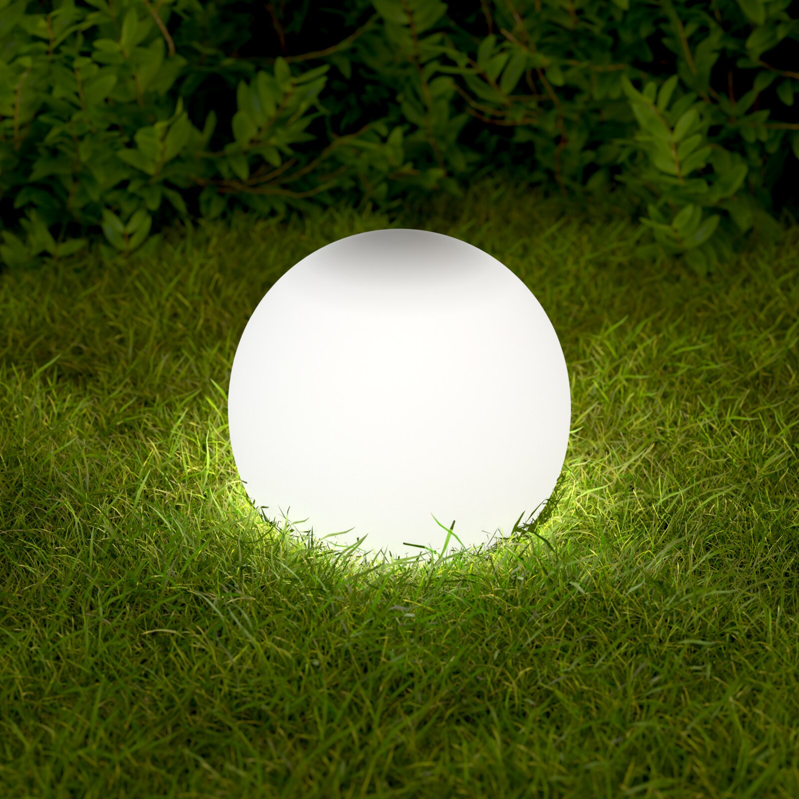 Ambia Garden Zonne-lamp BOLTON Stralend witte bolvormige tuinlamp op het gazon voor een groene haag, vooraanzicht op ooghoogte
