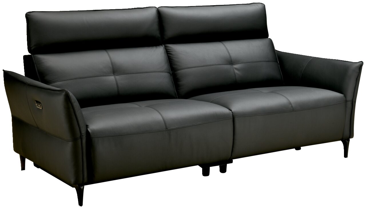 Schwarzes Ledersofa mit zwei Sitzen, seitliche Perspektive