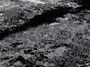 Nahaufnahme eines strukturierten Teppichs in Grautönen mit abstraktem Muster.