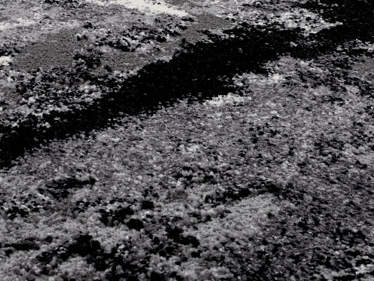 Nahaufnahme eines strukturierten Teppichs in Grautönen mit abstraktem Muster.