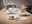 Elegantes 12-teiliges Dinner-Set auf einem gedeckten Tisch, mit einer modernen Perspektive von der Seite fotografiert.