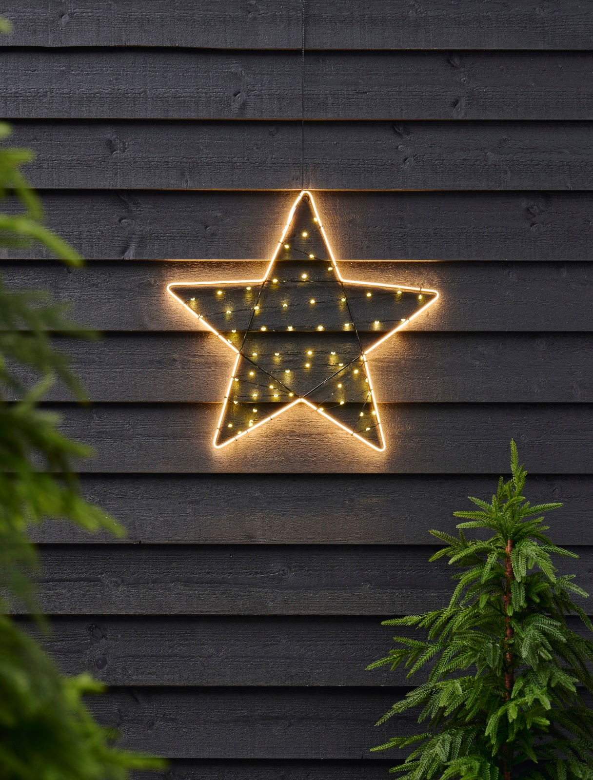 Leuchtender Stern mit Timer, 47 cm, an einer dunklen Holzwand hängend, frontal fotografiert, umgeben von grünen Tannen.