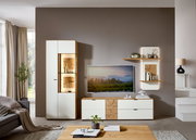 Moderne Wandkombination in einem Wohnzimmer, bestehend aus einem hohen Schrank mit Glaseinsätzen, einem TV-Schrank und zwei Wandregalen. Die Perspektive zeigt die Frontansicht der Möbel vor einer grauen Wand.