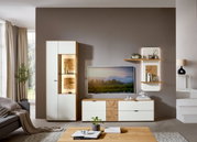 Moderne Wandkombination in einem Wohnzimmer, bestehend aus einem hohen Schrank mit Glaseinsätzen, einem TV-Schrank und zwei Wandregalen. Die Perspektive zeigt die Frontansicht der Möbel vor einer grauen Wand.