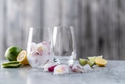 Twee Forte-universele bekers, waarvan één gevuld met ijsblokjes en citrusvruchten, op een tafelblad met gesneden limoenen en citroenen op de voorgrond. Zijaanzicht.