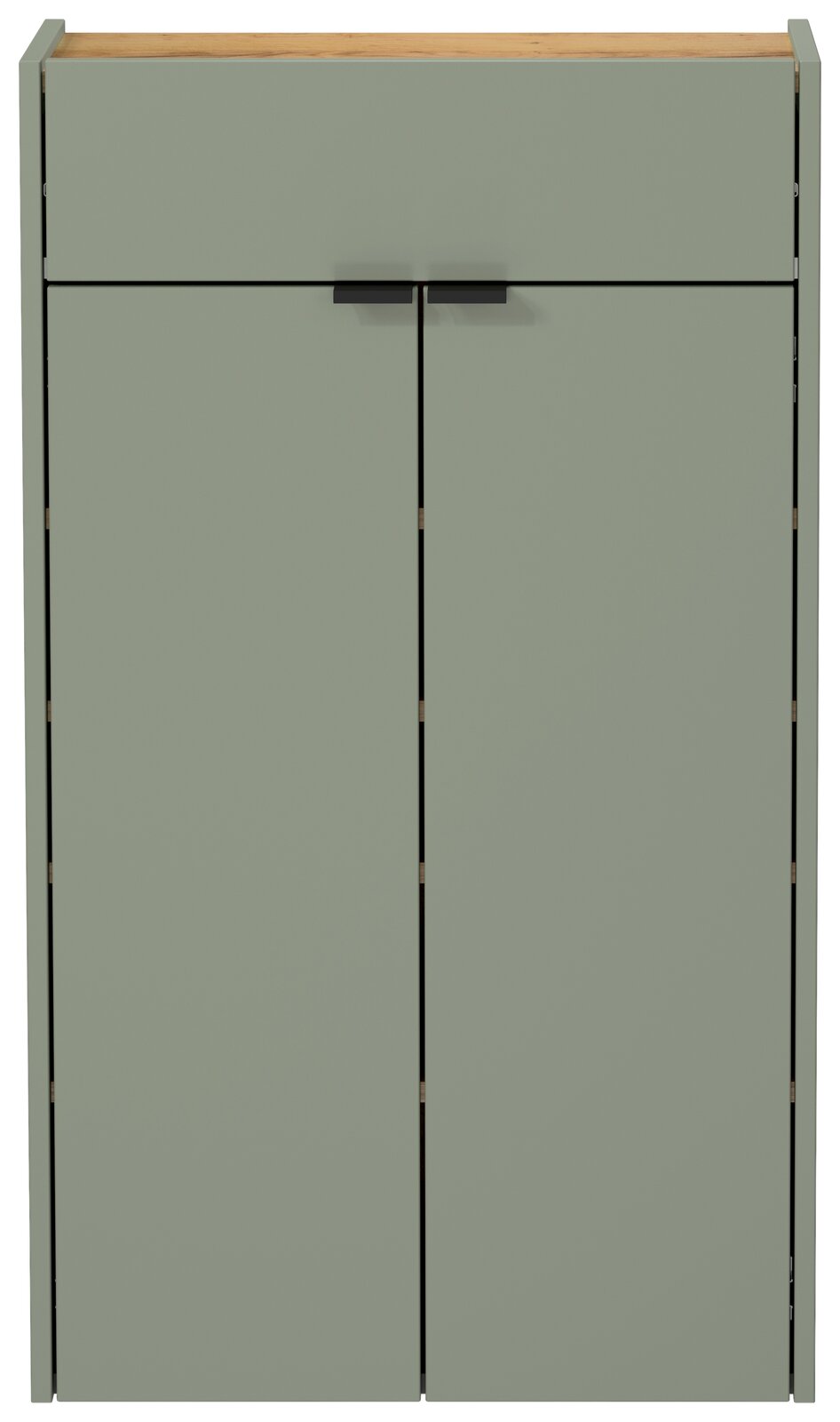 Moderner Hängeschuhschrank in grünlicher Farbe mit zwei Türen und schwarzem Griff, Frontalansicht